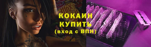 spice Арсеньев