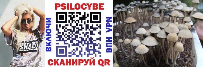 Псилоцибиновые грибы Magic Shrooms  Павловск 